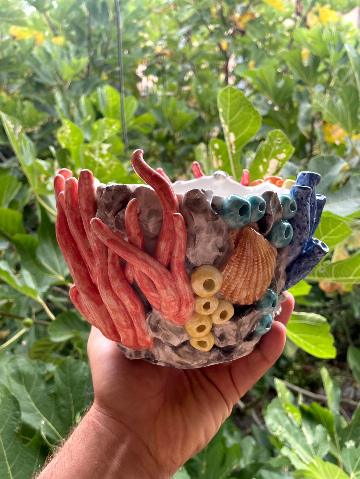 Vaso corallo