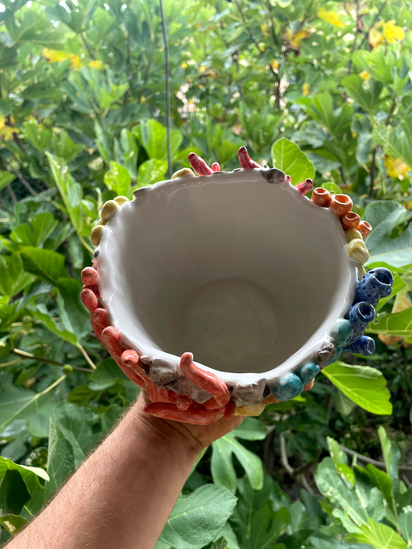 Vaso corallo