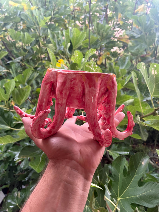 Vaso con tentacoli