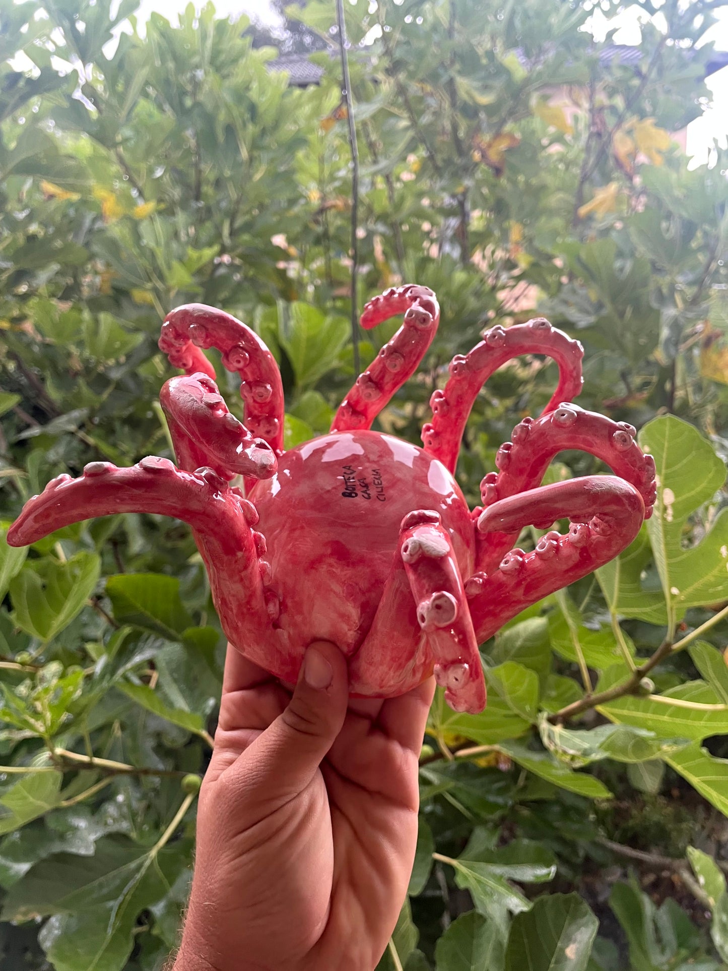 Vaso con tentacoli