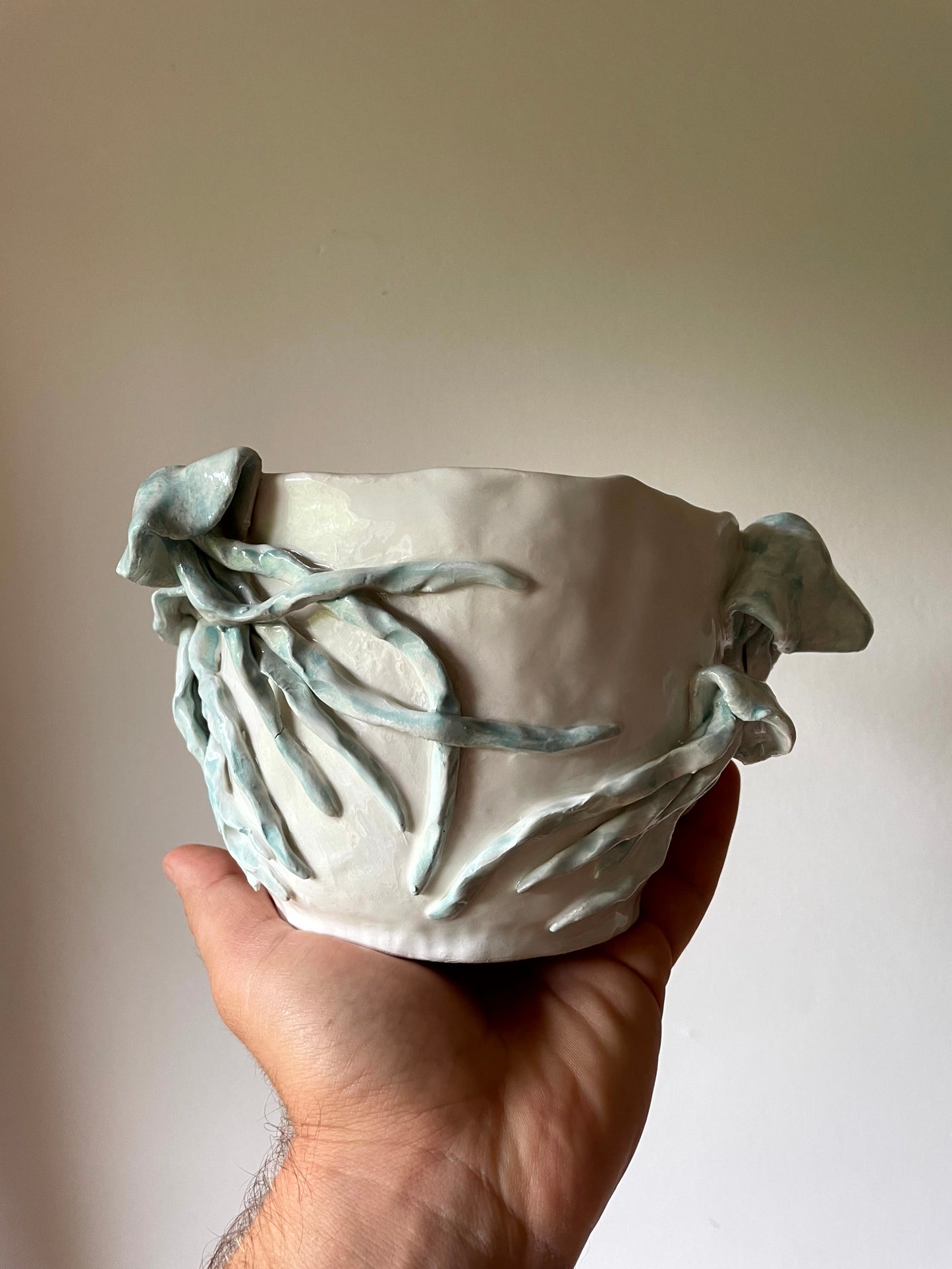 Vaso meduse
