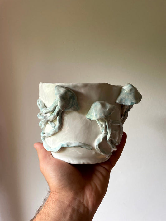 Vaso meduse