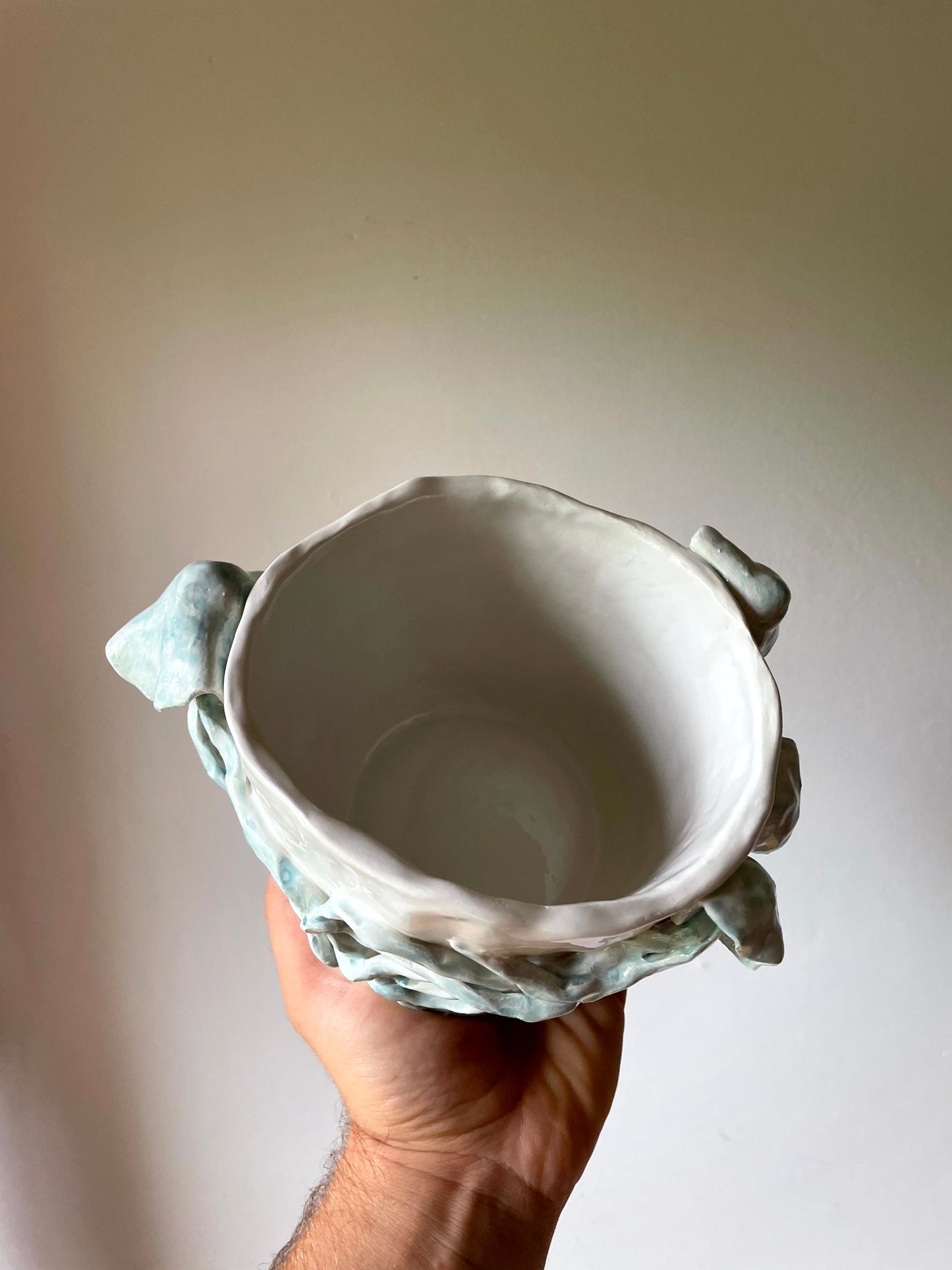 Vaso meduse