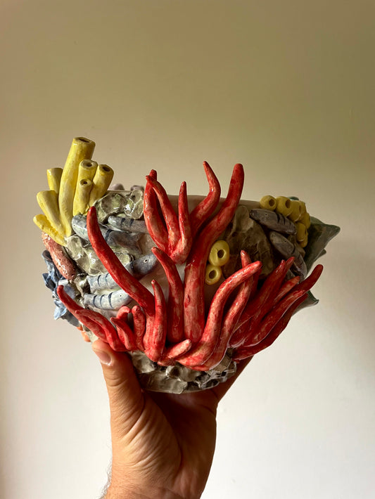 Vaso corallo 3